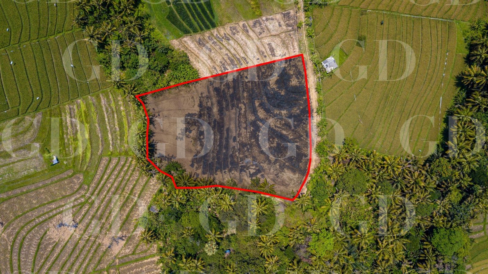 TRANQUIL LAND WITH SCENIC VIEW